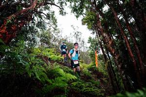 BIB: 
                            <button type="button" onclick="openModal(26202030)" class="btn btn-primary btn-sm float-right btn-popup" data-toggle="modal" data-target=".modal-high-quality">
                        <i class="fas fa-shopping-cart"></i> Add to Cart
                    </button>
                                            <button type="button" onclick="isThisMe(26202030, true)" class="btn btn-success btn-sm float-right btn-popup btn-isme hidden" data-toggle="tooltip" data-placement="bottom" title="นี่คือรูปของคุณใช่ไหม คลิกที่นี่เพื่อเอาเข้าอัลบั้ม">
                        <i class="fas fa-plus"></i> Add to album
                    </button>
                    <button type="button" onclick="isThisMe(26202030, false)" class="btn btn-warning btn-sm float-right btn-popup btn-isnotme hidden">
                        <i class="fas fa-ban"></i> Remove from album
                    </button>